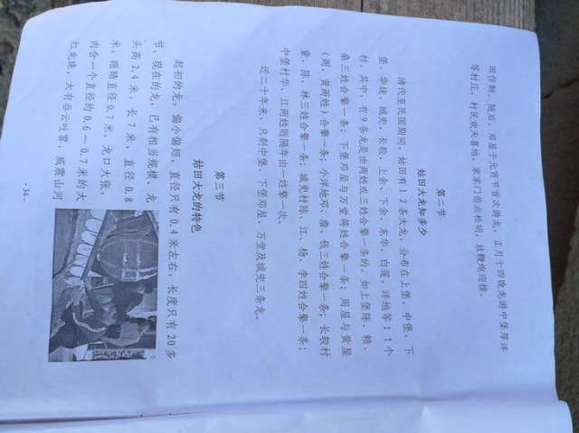 姑田游大龙文字资料（2）