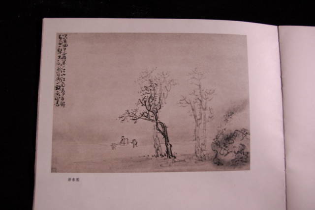 宁化 巫罗俊 (38)