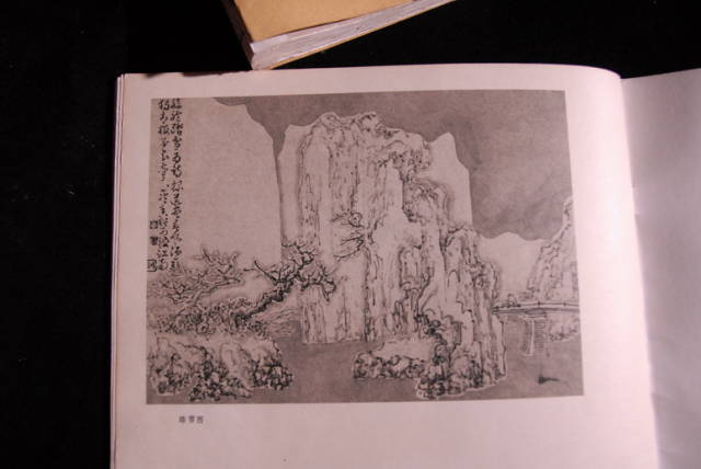 宁化 巫罗俊 (54)