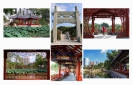 洪黎明--焕然一新南公园IMG_7039