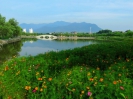 张如华--生态美  张如华摄2016年6月24日         7：29            福州中医药大学