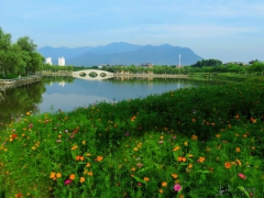 张如华--生态美  张如华摄2016年6月24日         7：29            福州中医药大学
