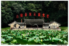 莲花园革命搖蓝-张振桔