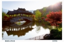 吴问峥IMG_6301-2