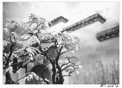 鄢庆勇雪-鄢庆勇