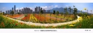 郑美德作品《江滨公园一垄垄色彩斑斓鲜花花香怡人》郑美德