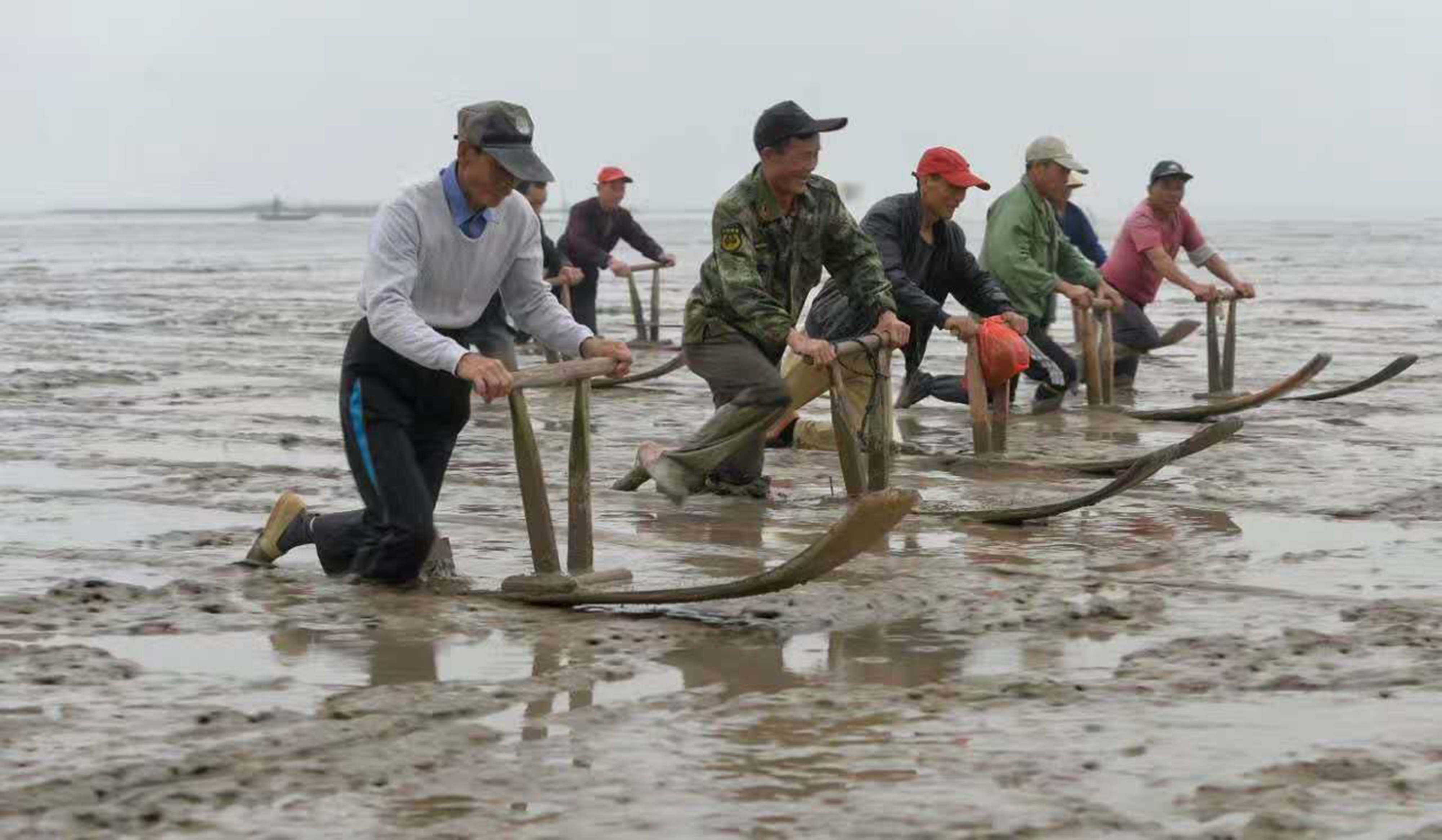 连江县马鼻镇的沿海滩涂边，渔民们跪在板上，右腿蹬地，在滩涂上快速滑行 (1).jpg