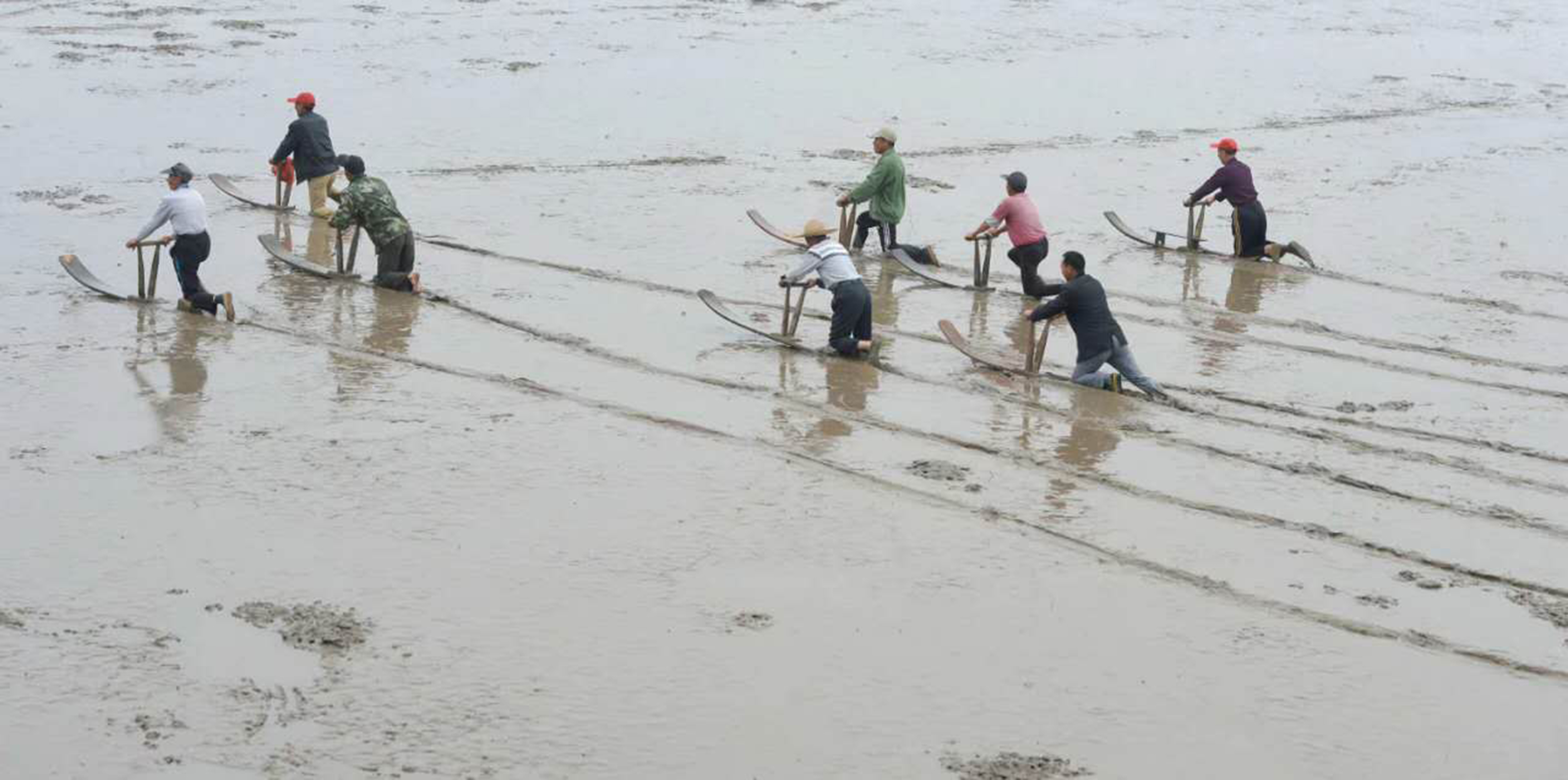 滩涂泥橇的制作工艺，已被列入福建省非物质文化保护遗产名录。